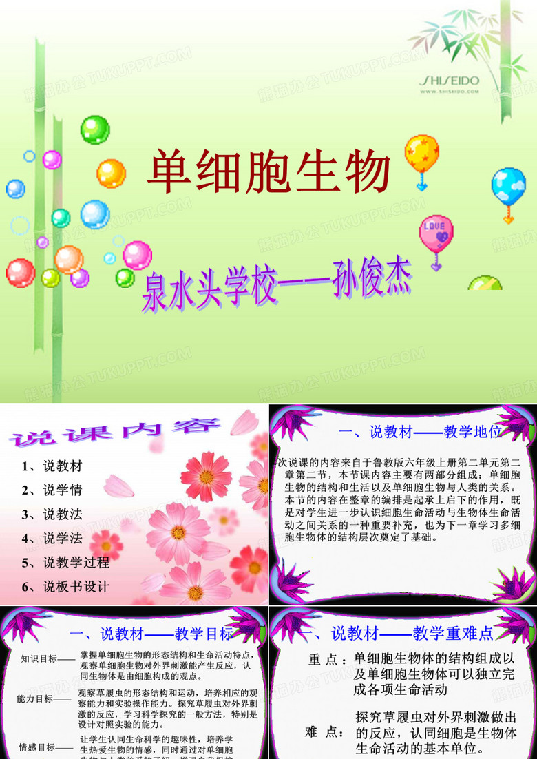 单细胞生物说课课件