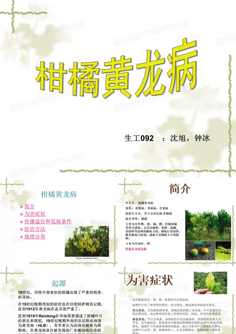 柑橘黄龙病