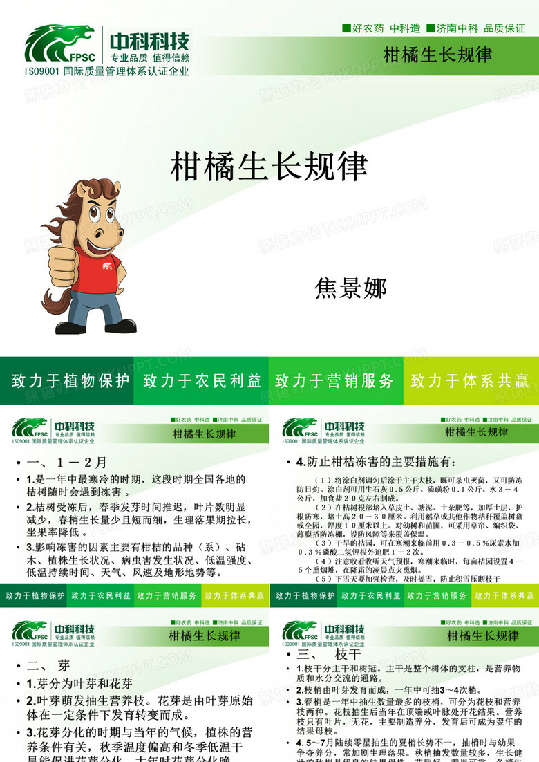 柑橘生长规律