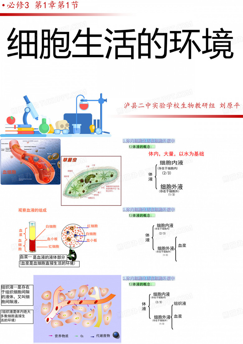 细胞生活的环境