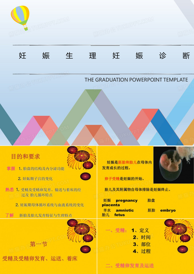 妊娠生理妊娠诊断
