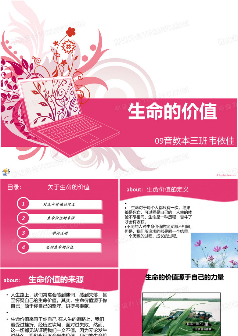 生命的价值