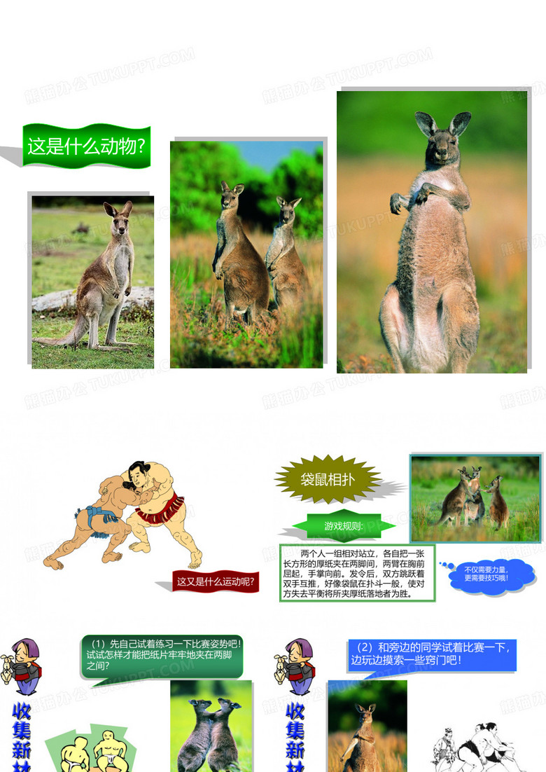 《袋鼠相扑》