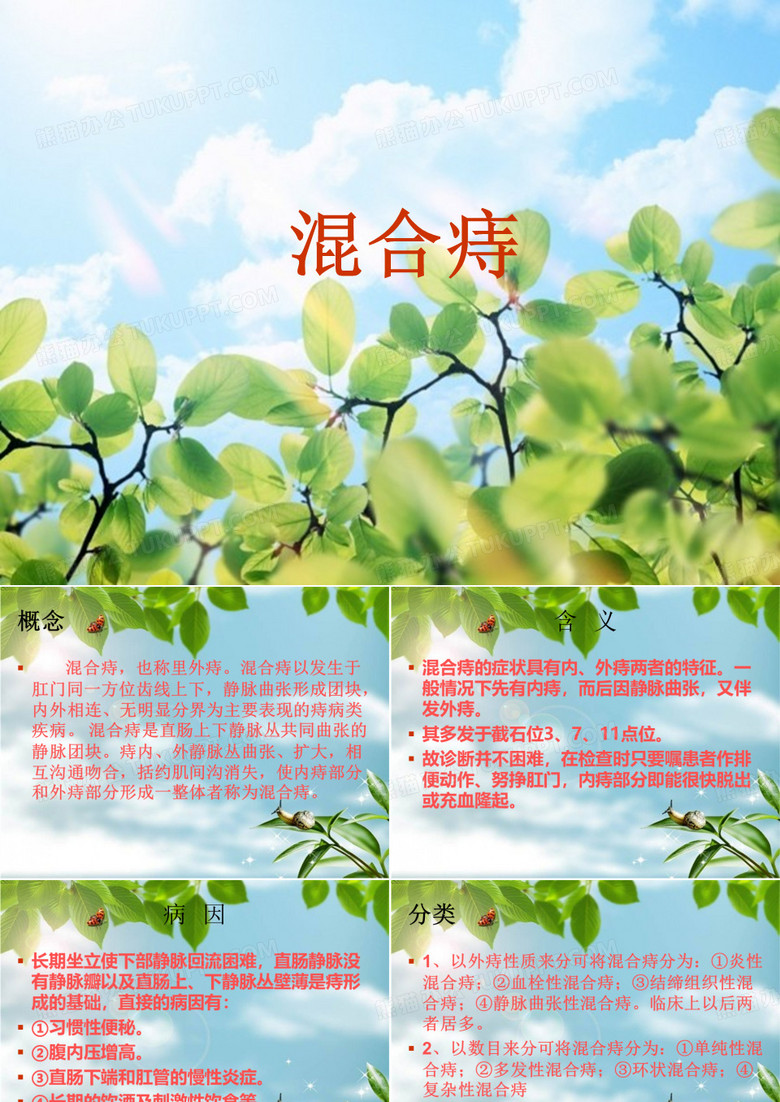 混合痔PPT