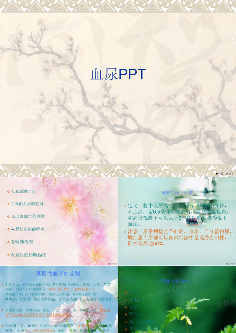 血尿PPT