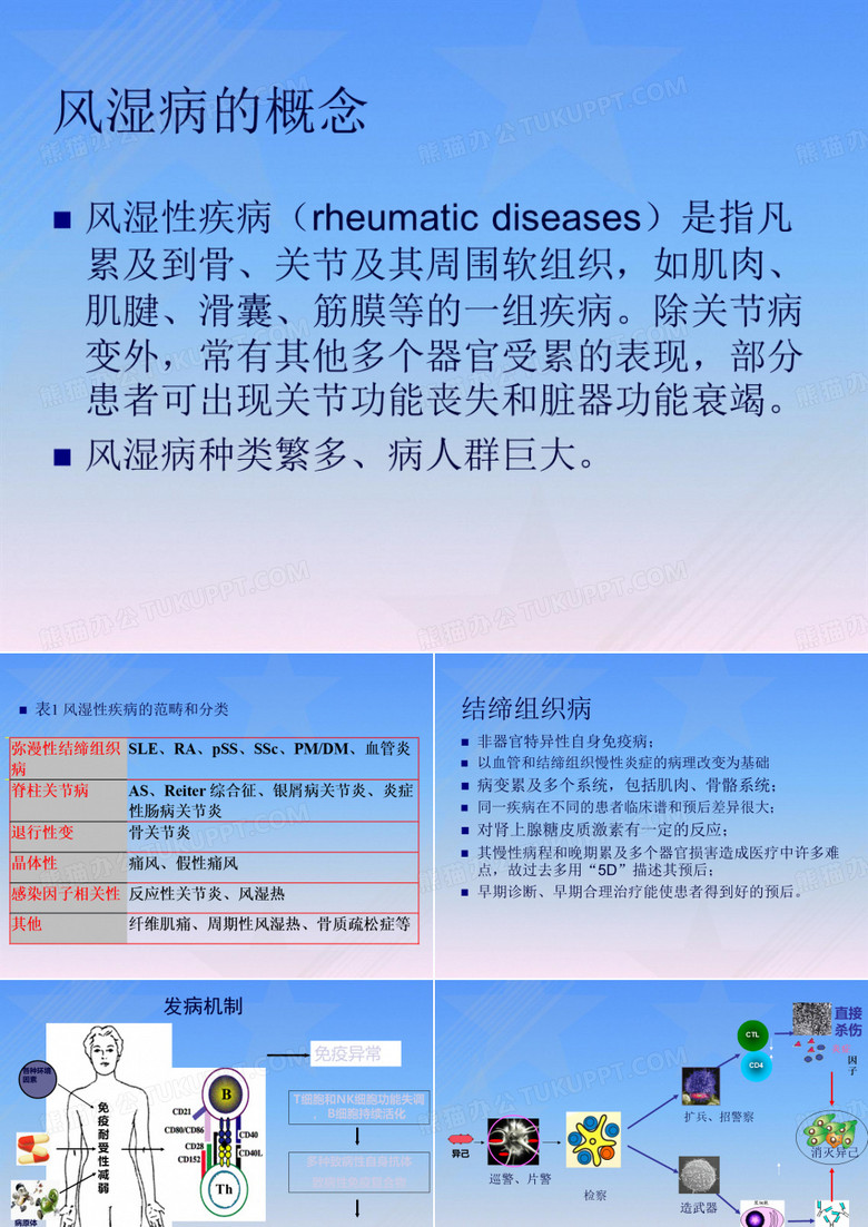 风湿病概述