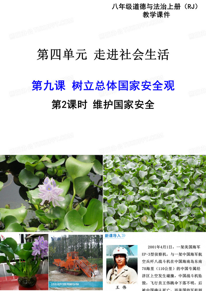 维护国家安全