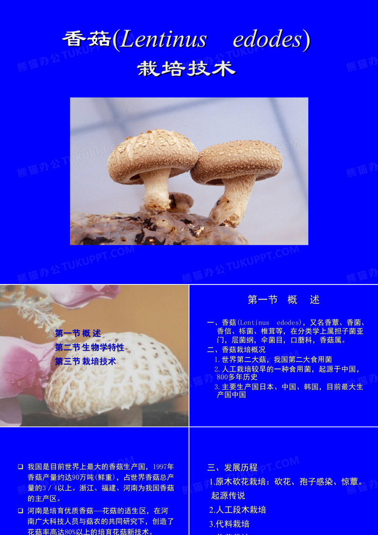 香菇栽培