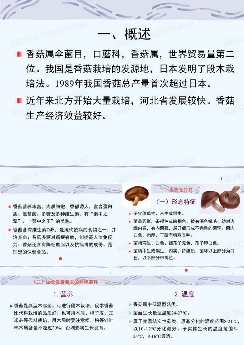 香菇栽培