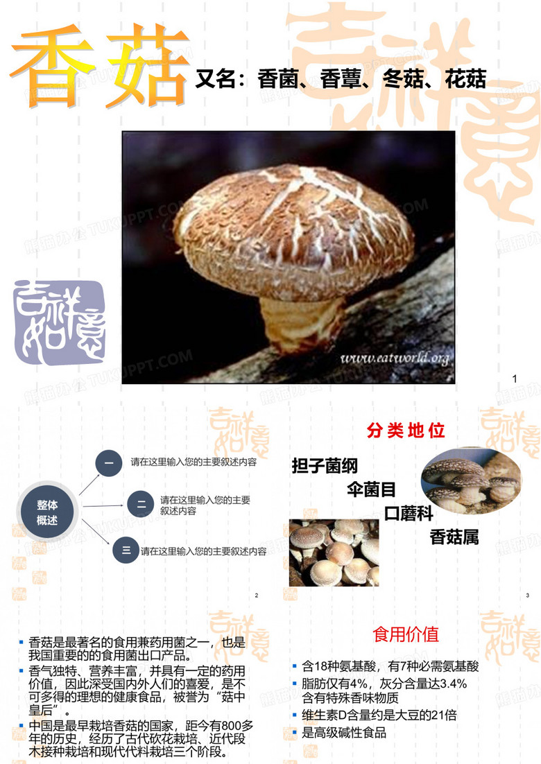 香菇PPT课件