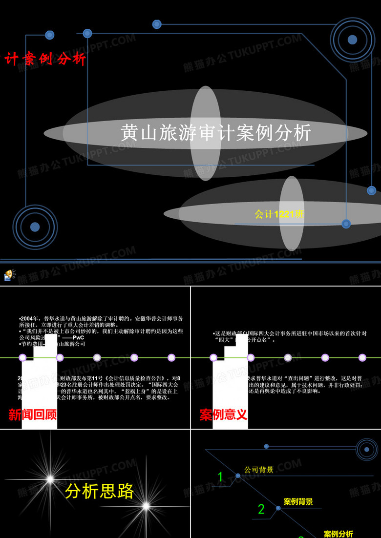 审计案例分析