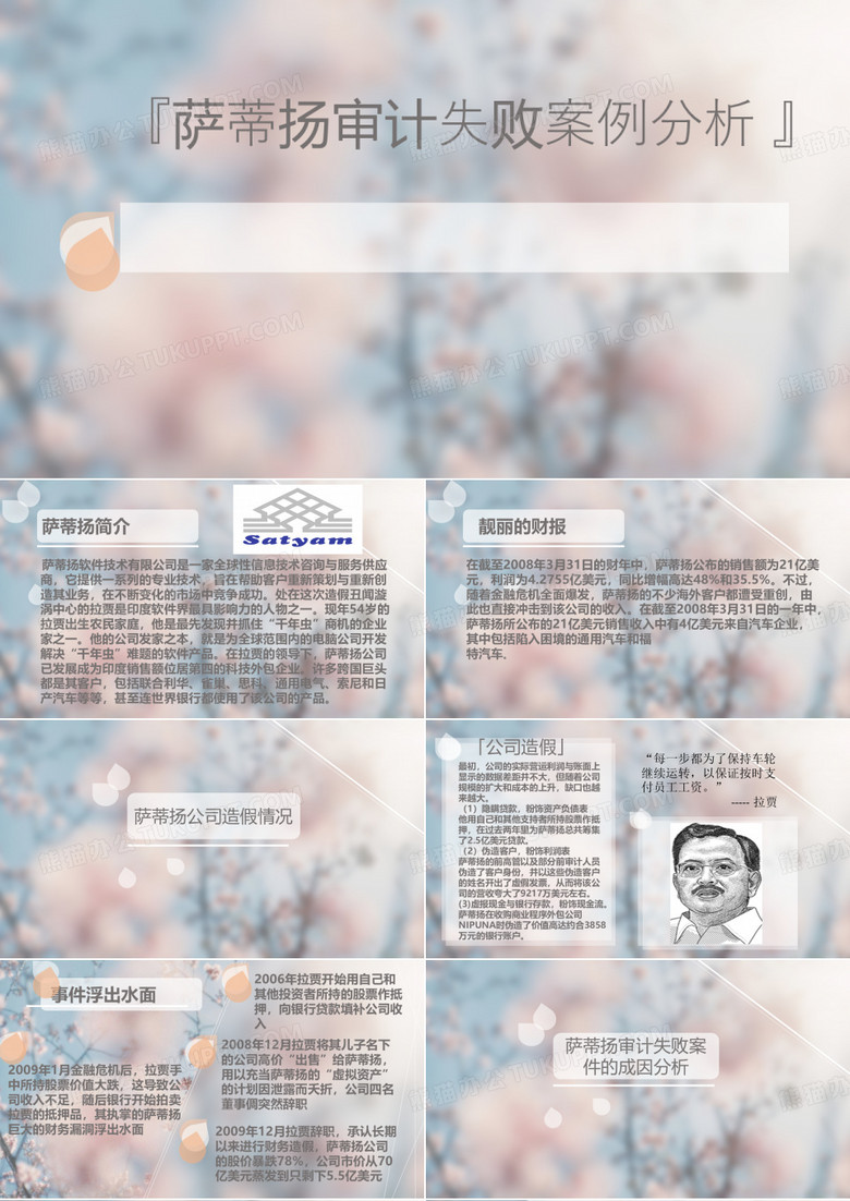 审计案例分析