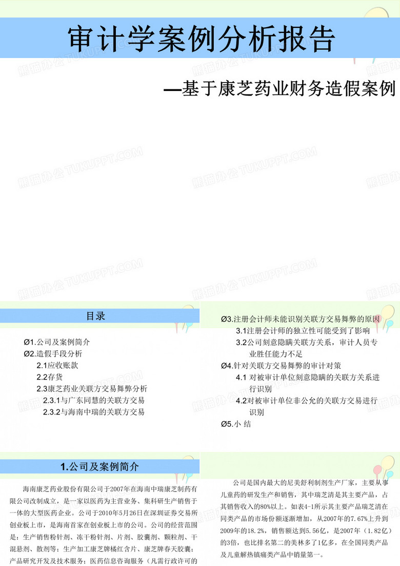审计案例分析报告