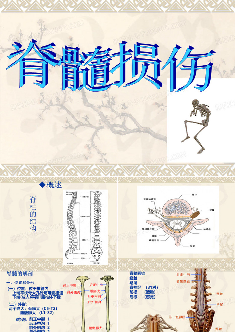 脊髓损伤