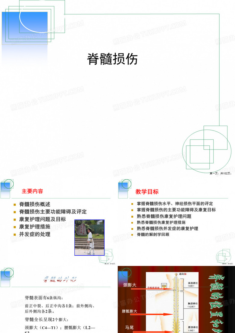 脊髓损伤 