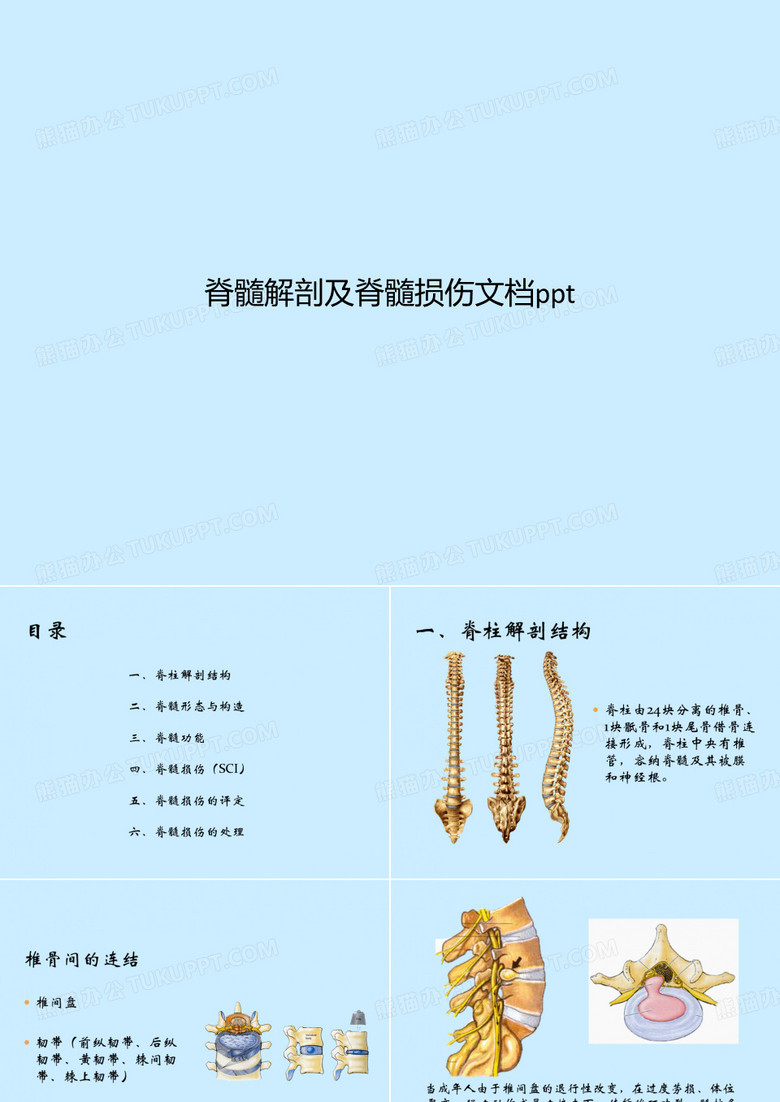 脊髓解剖及脊髓损伤