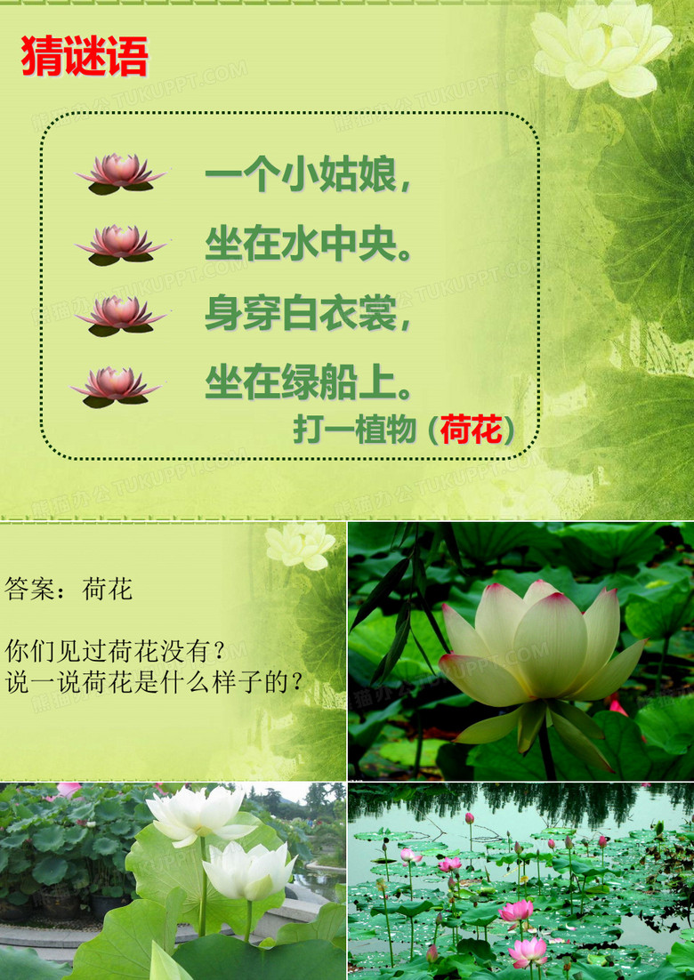 彩铅荷花