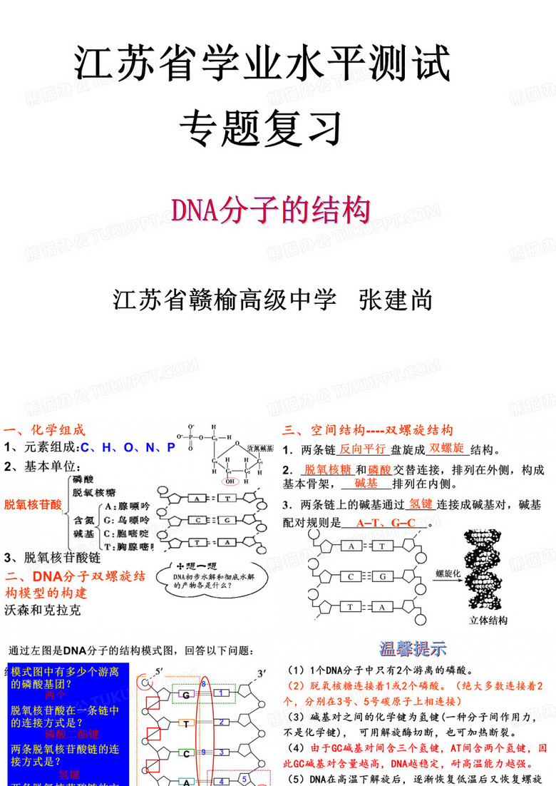 DNA分子的结构