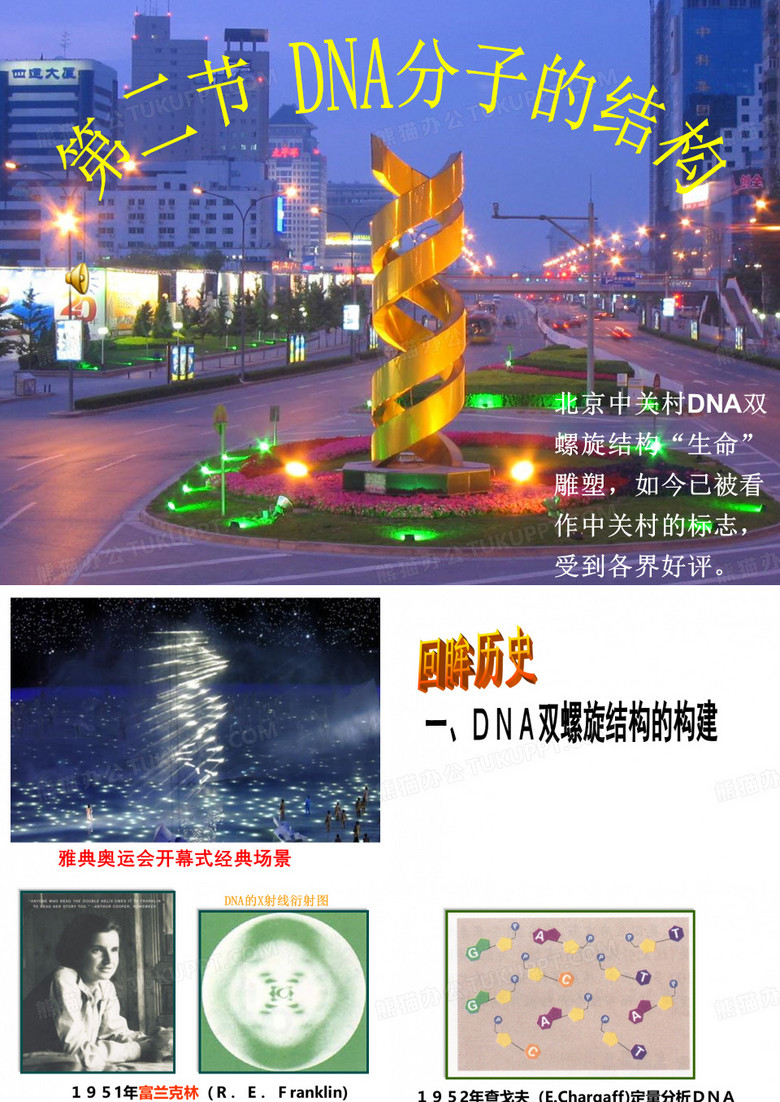 DNA分子结构