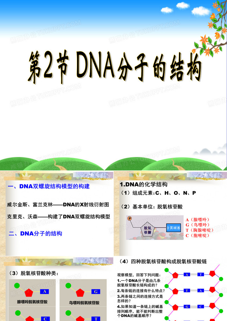 DNA分子的结构
