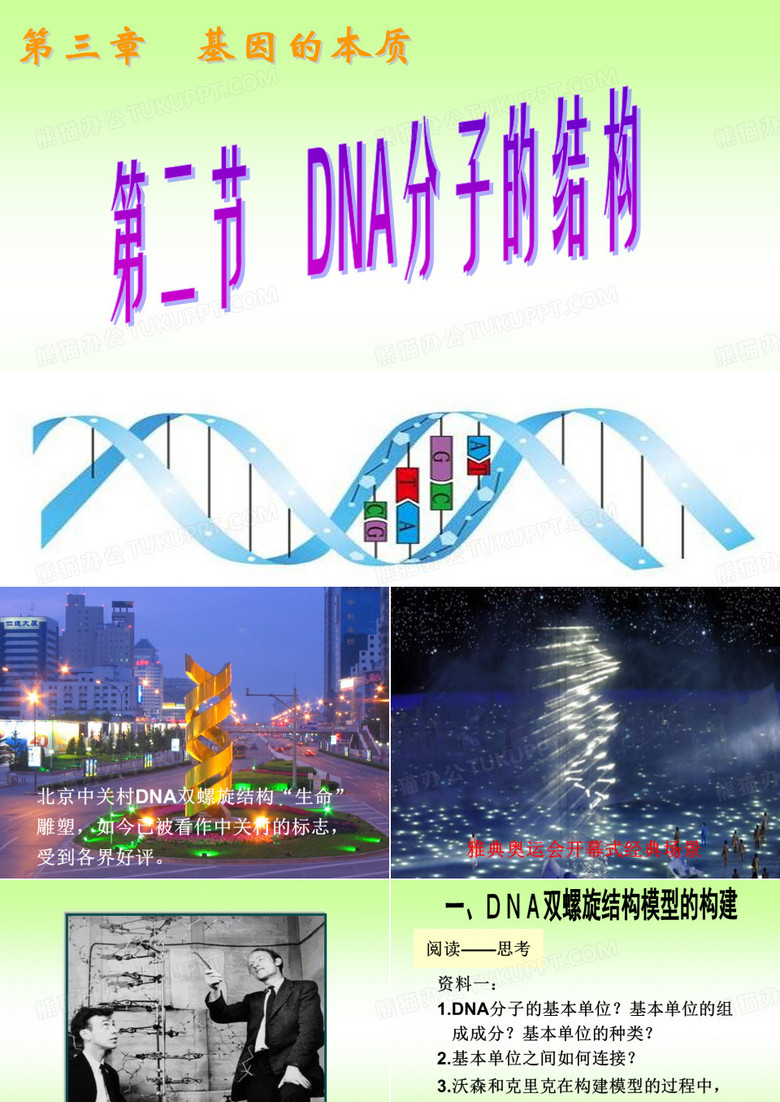 DNA分子的结构