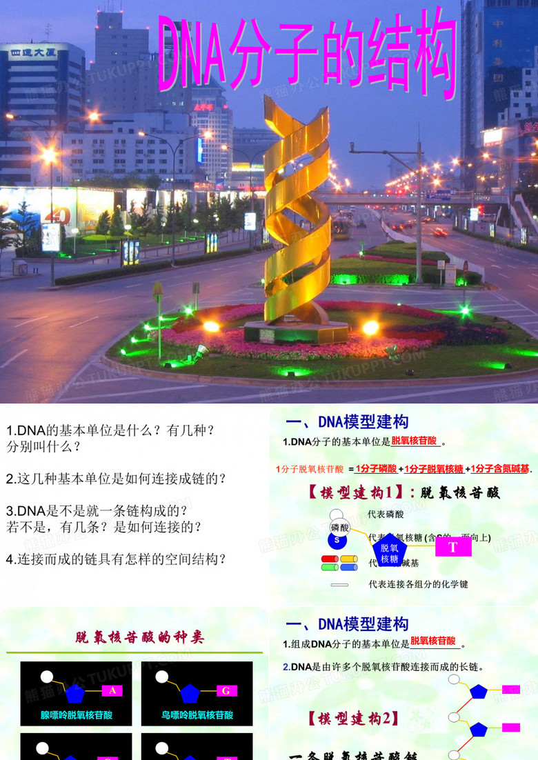 DNA分子的结构