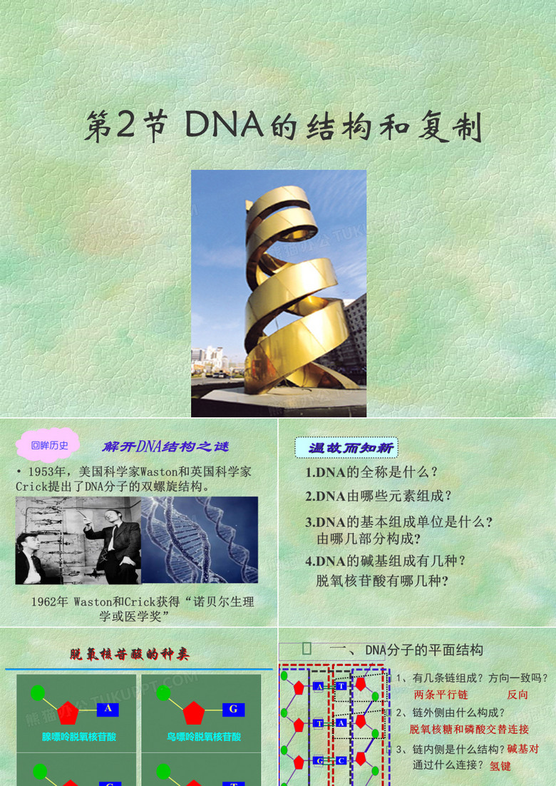 DNA分子的结构
