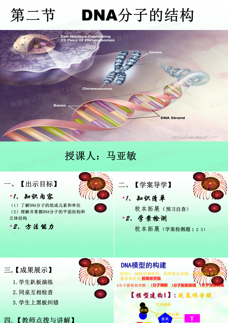 DNA分子的结构
