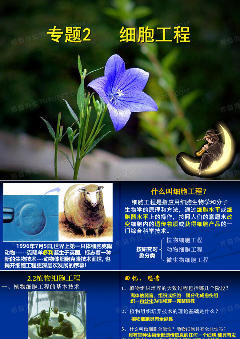 植物细胞工程
