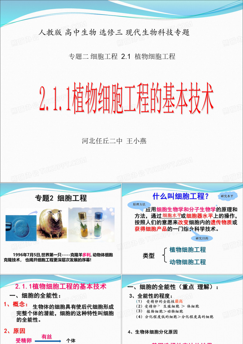 植物细胞工程