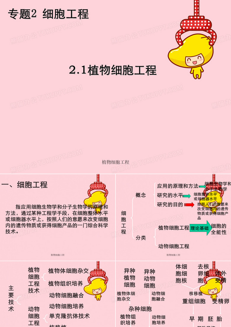 植物细胞工程