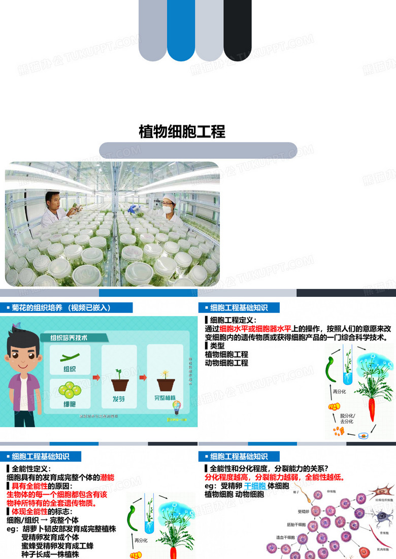 植物细胞工程