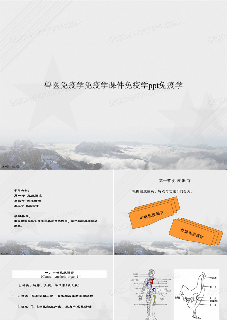 兽医免疫学免疫学免疫学ppt免疫学讲课文档