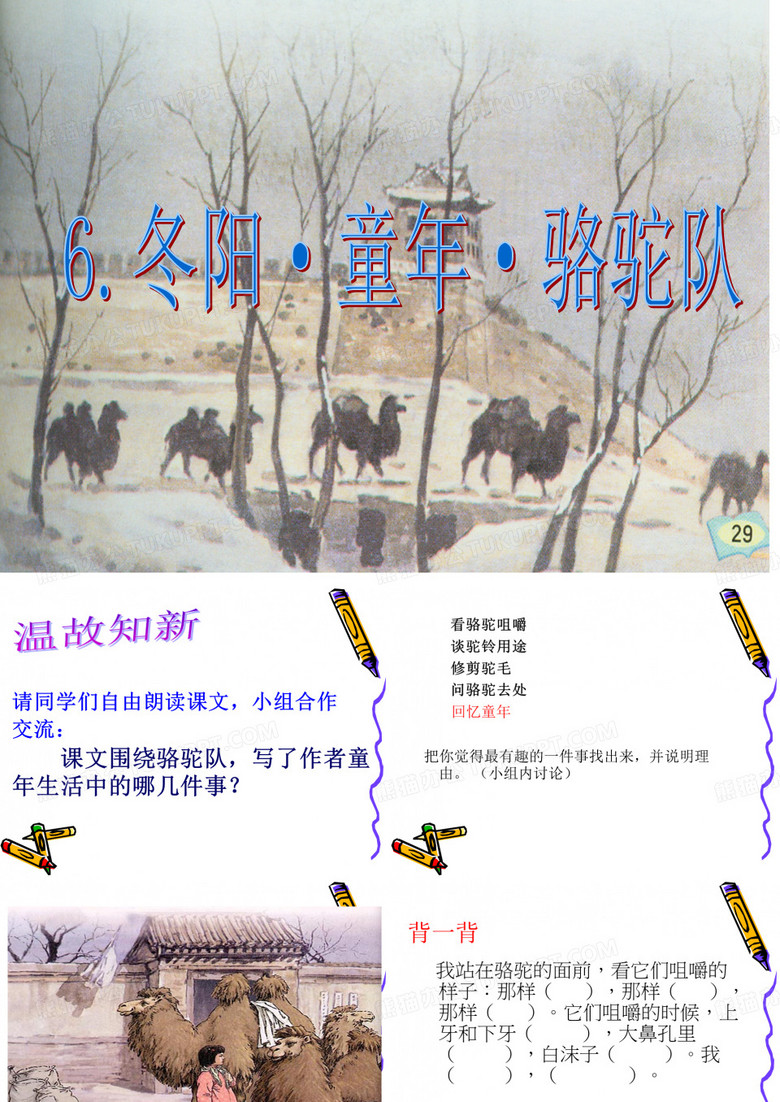 冬阳童年骆驼队