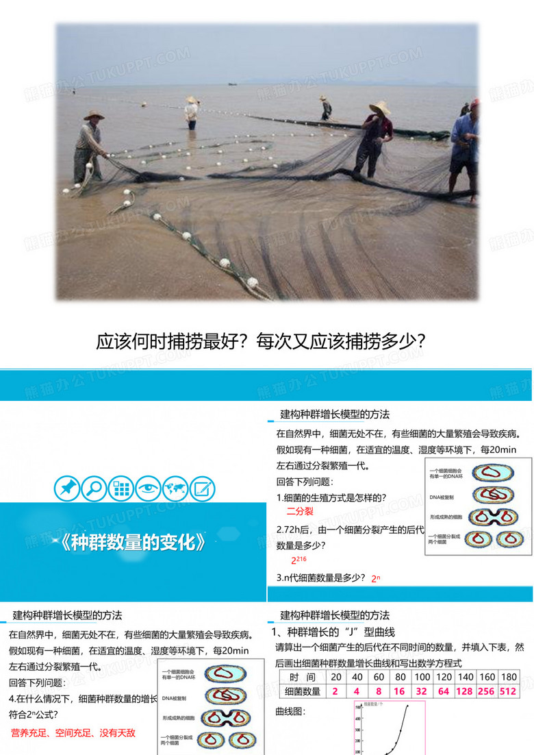 种群数量的变化