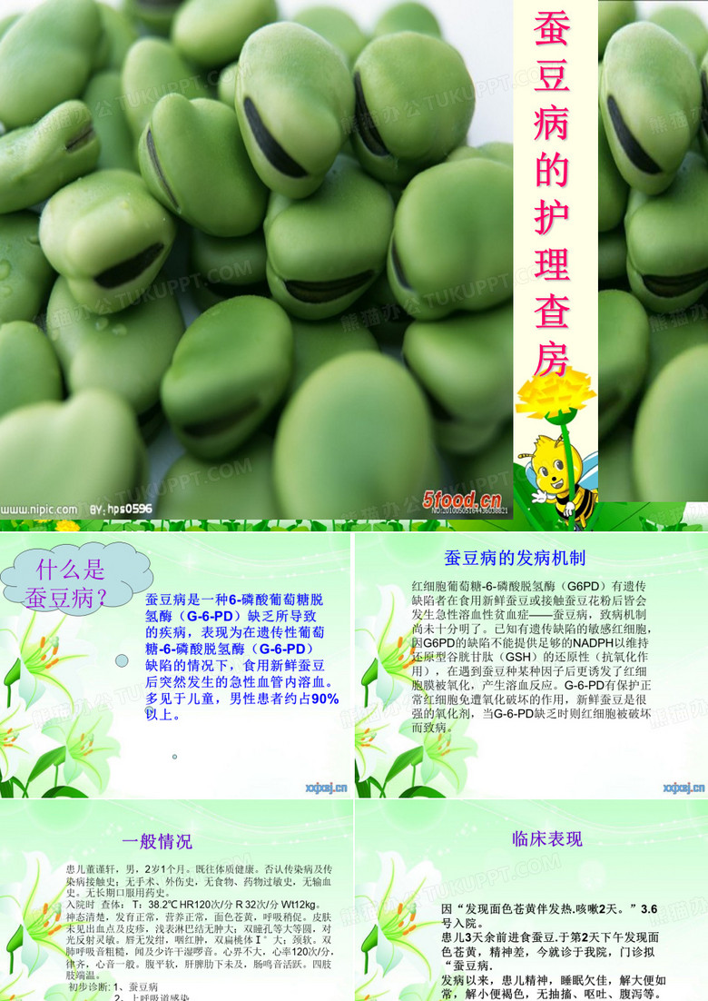 蚕豆病护理查房