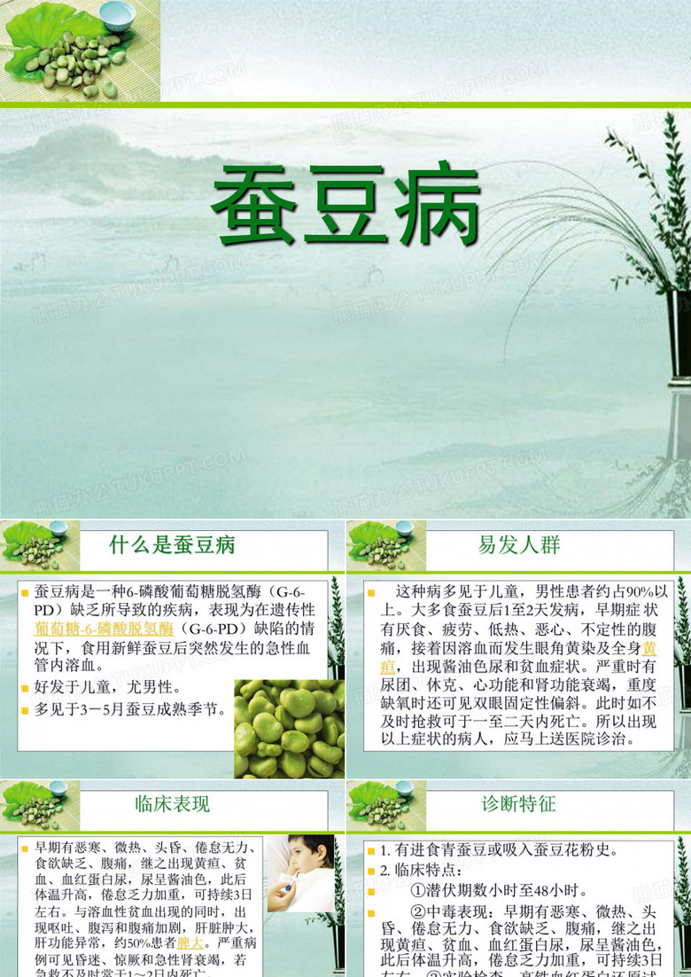 蚕豆病PPT课件