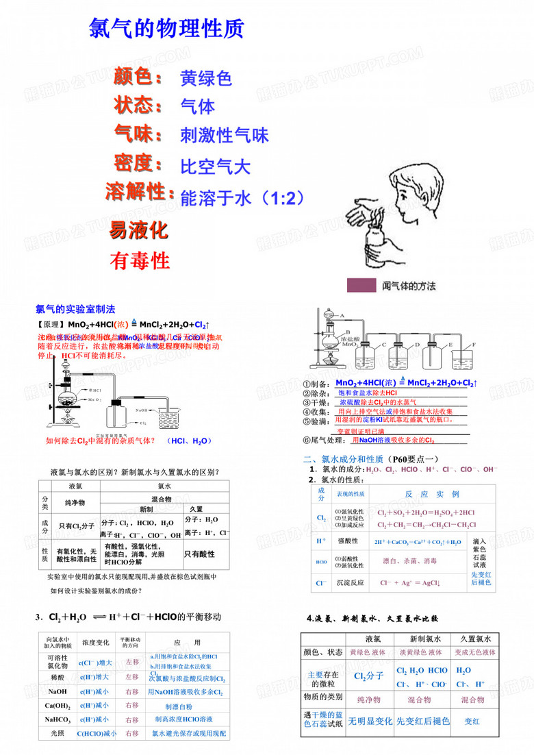 氯及其化合物ppt