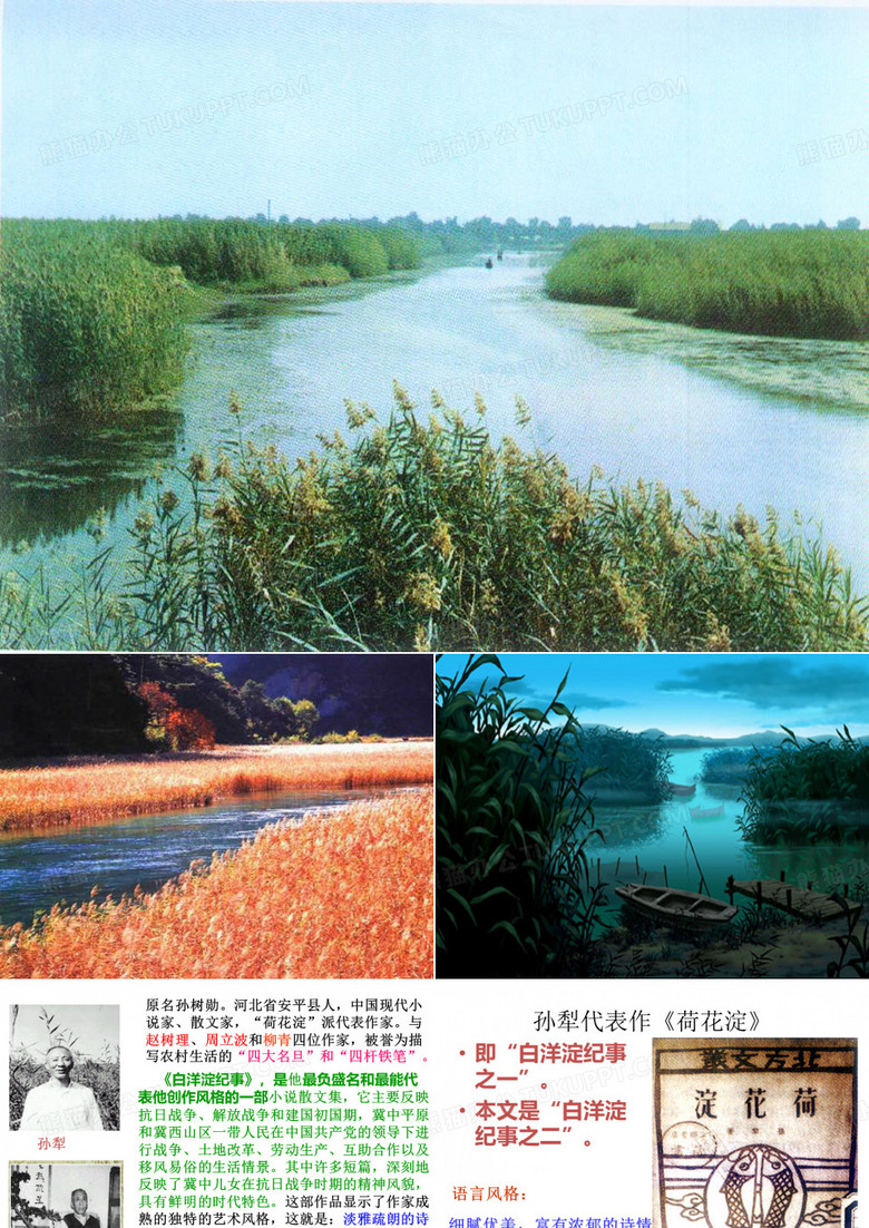 芦花荡