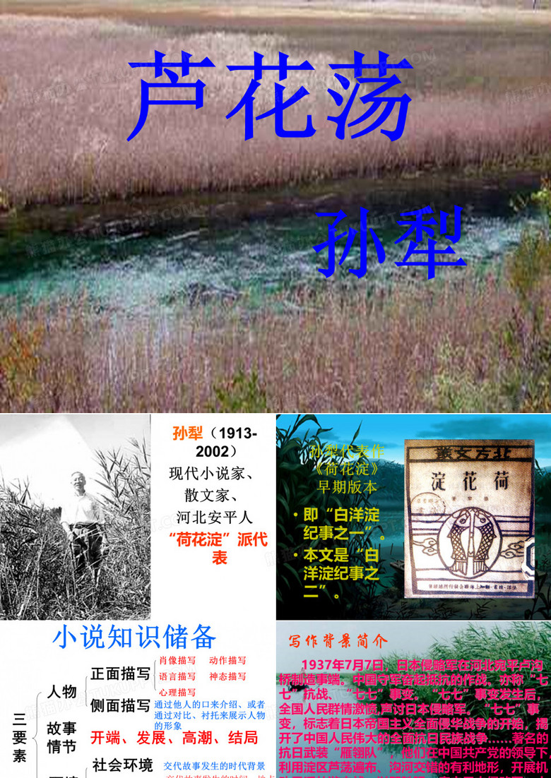 芦花荡