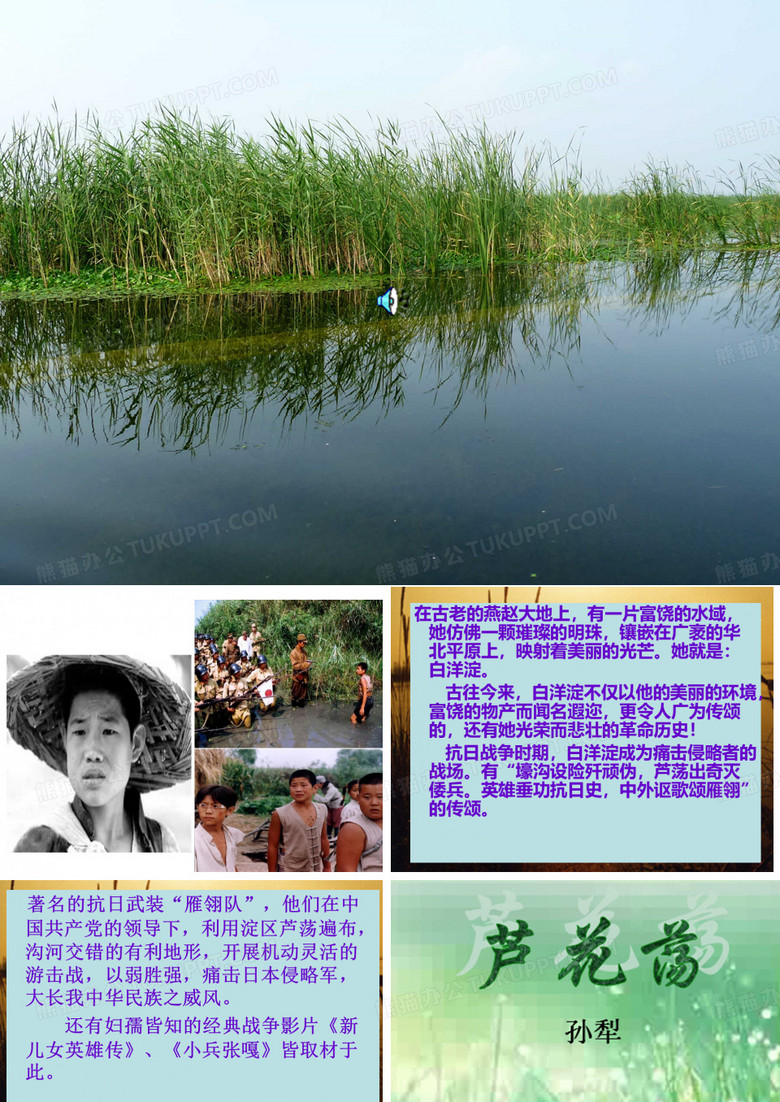 芦花荡