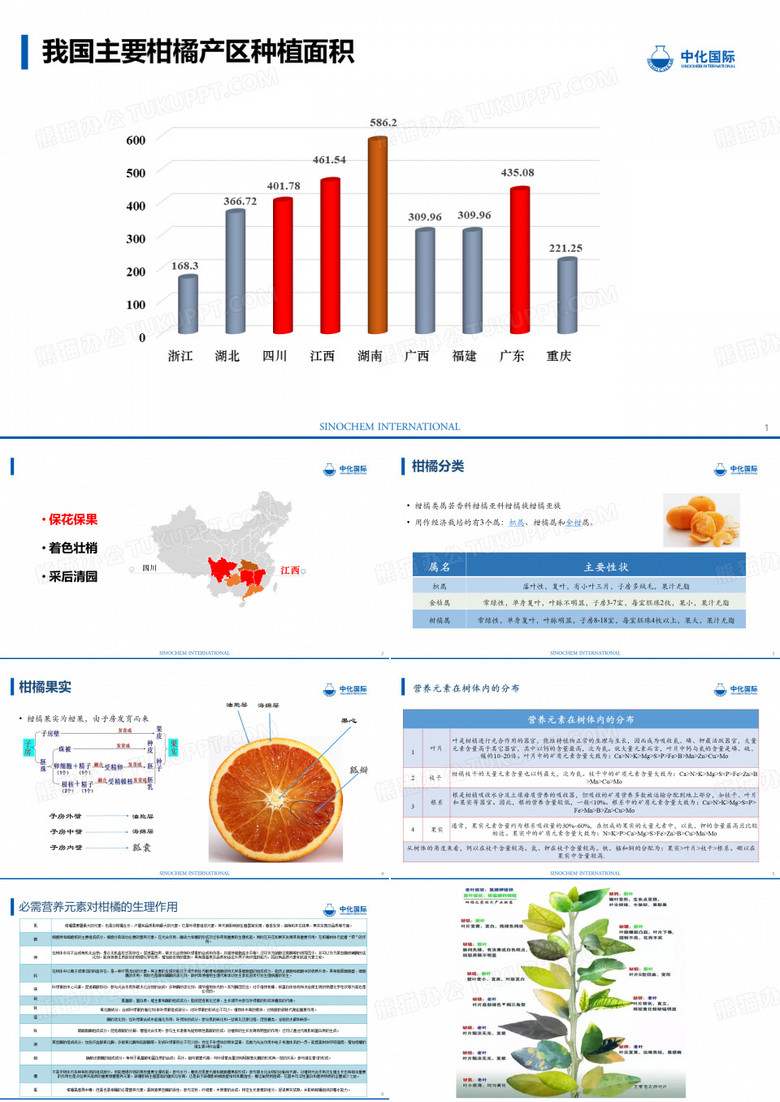 柑橘课件