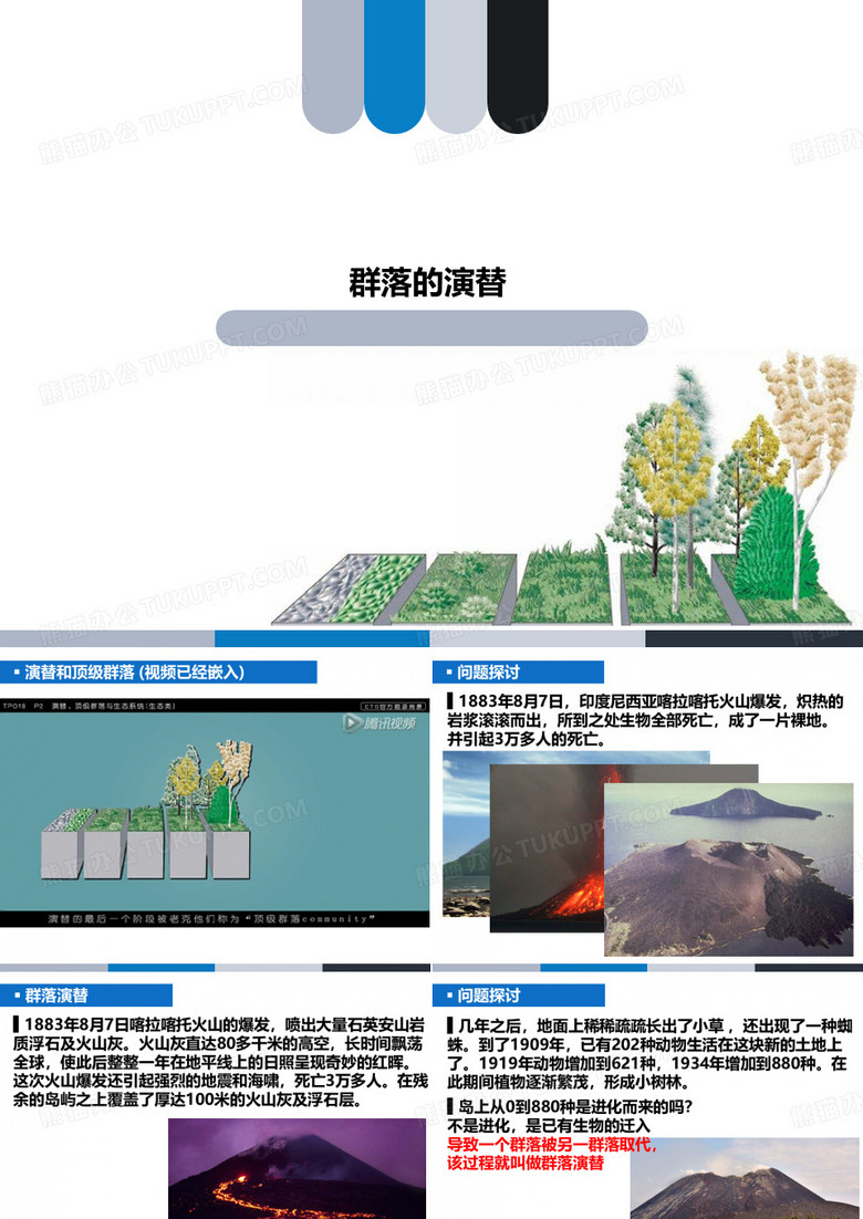 群落的演替