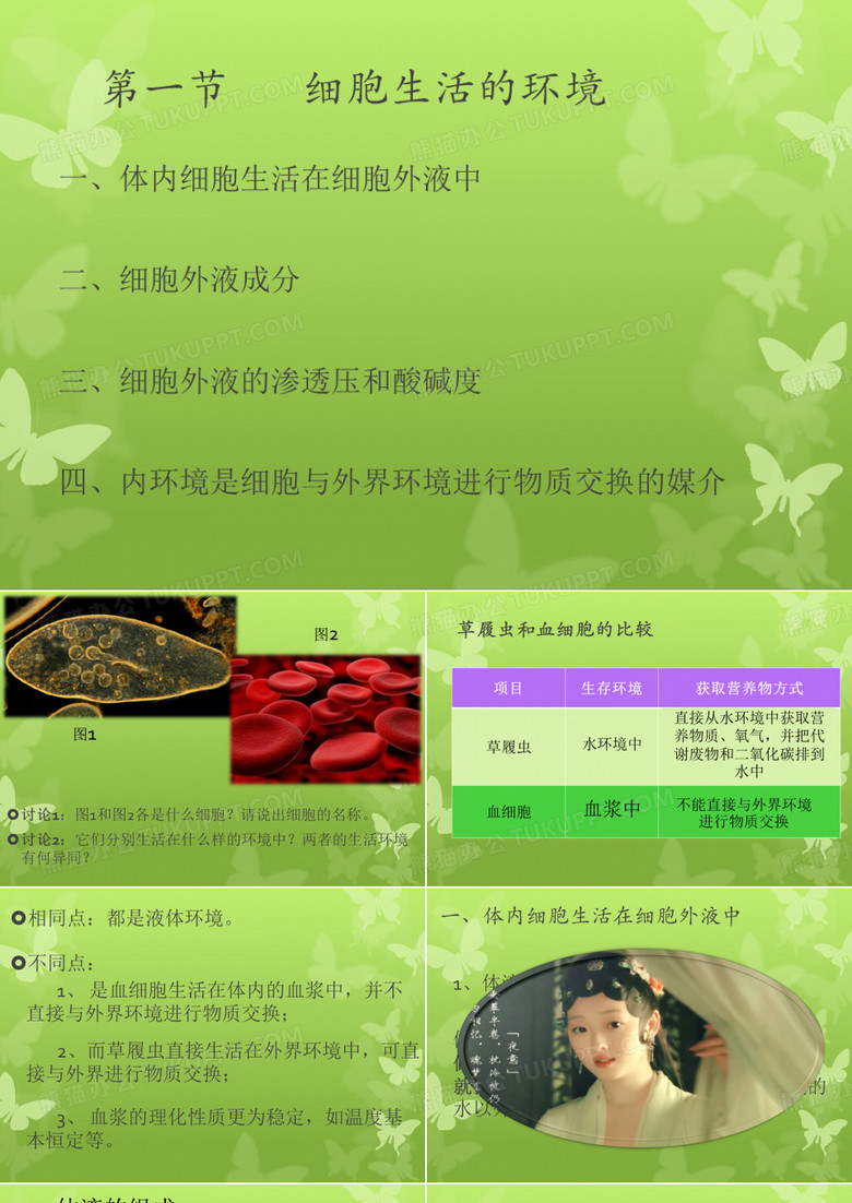 细胞生活的环境