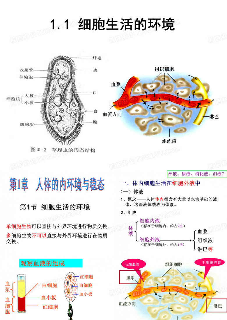 细胞生活的环境