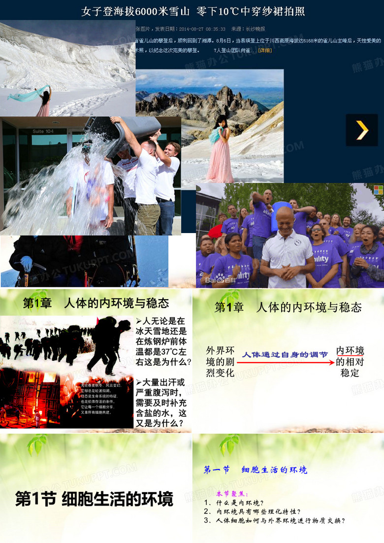 细胞的生活环境
