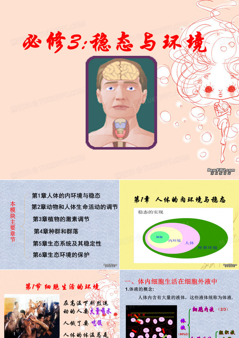 细胞生活的环境