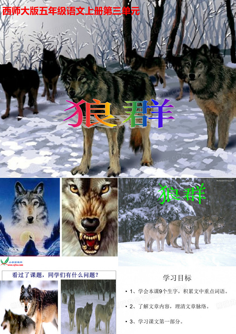 狼群课件