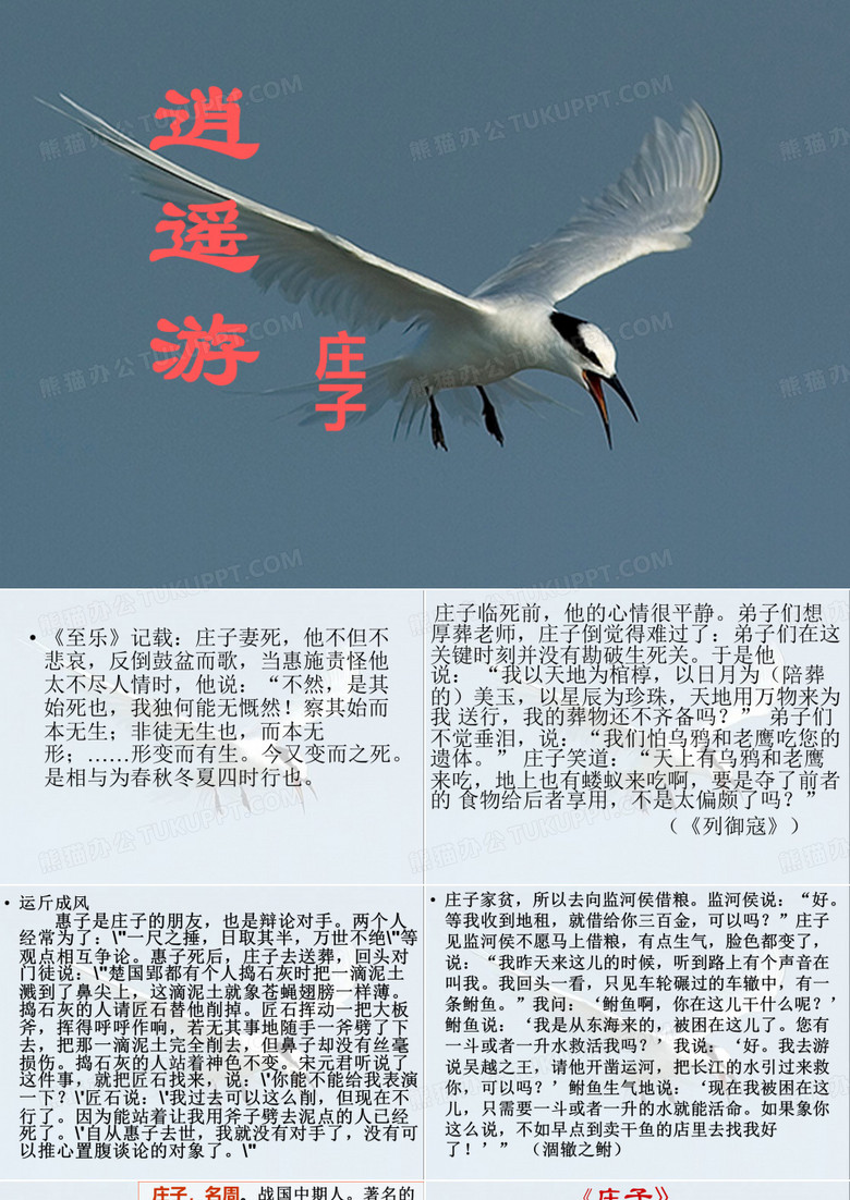 逍遥游课件