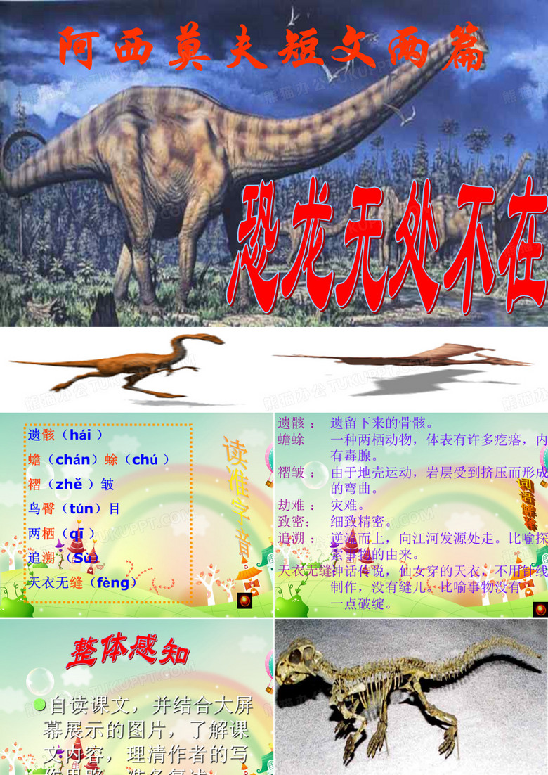 恐龙无处不在。